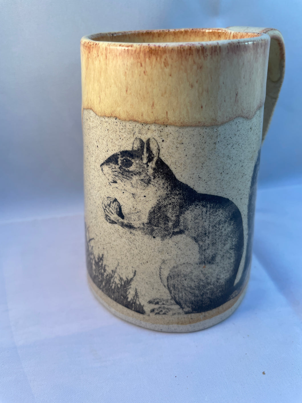 Squirrel, Acorn, Ladybug, and Paw Print ArtPrize Mug - glossy butter